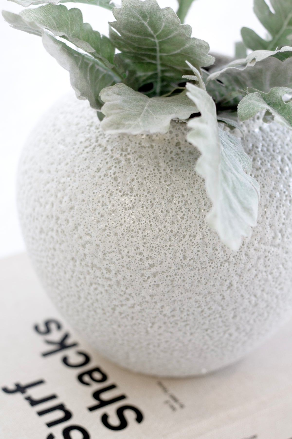 Close view of the short Seafoam vase with dusty miller foliage resting on books