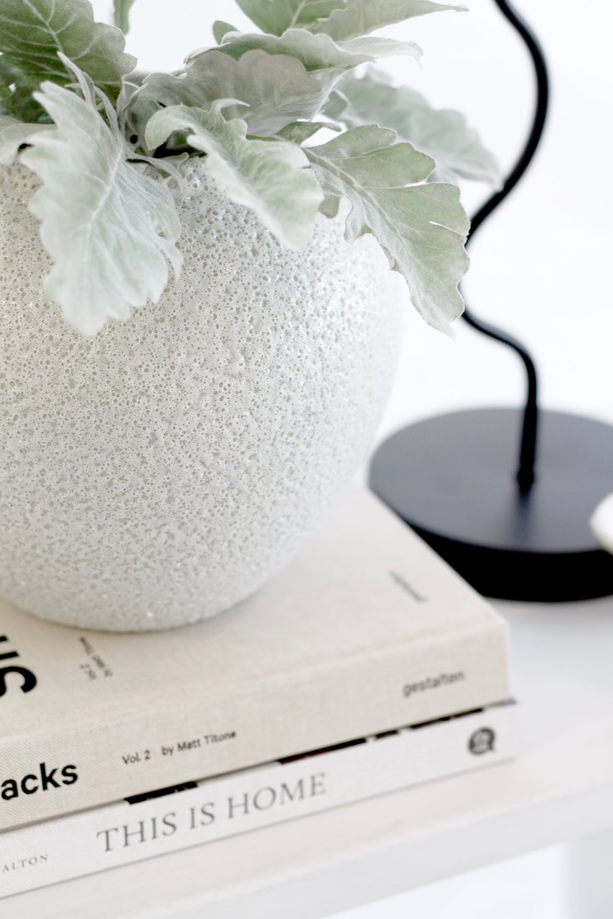 Short Seafoam vase of dusty miller foliage on stacked books beside a black lamp base