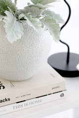 Seafoam Rustic Textured Ceramic Vase – Short or Tall | Handcrafted Coastal Decor
