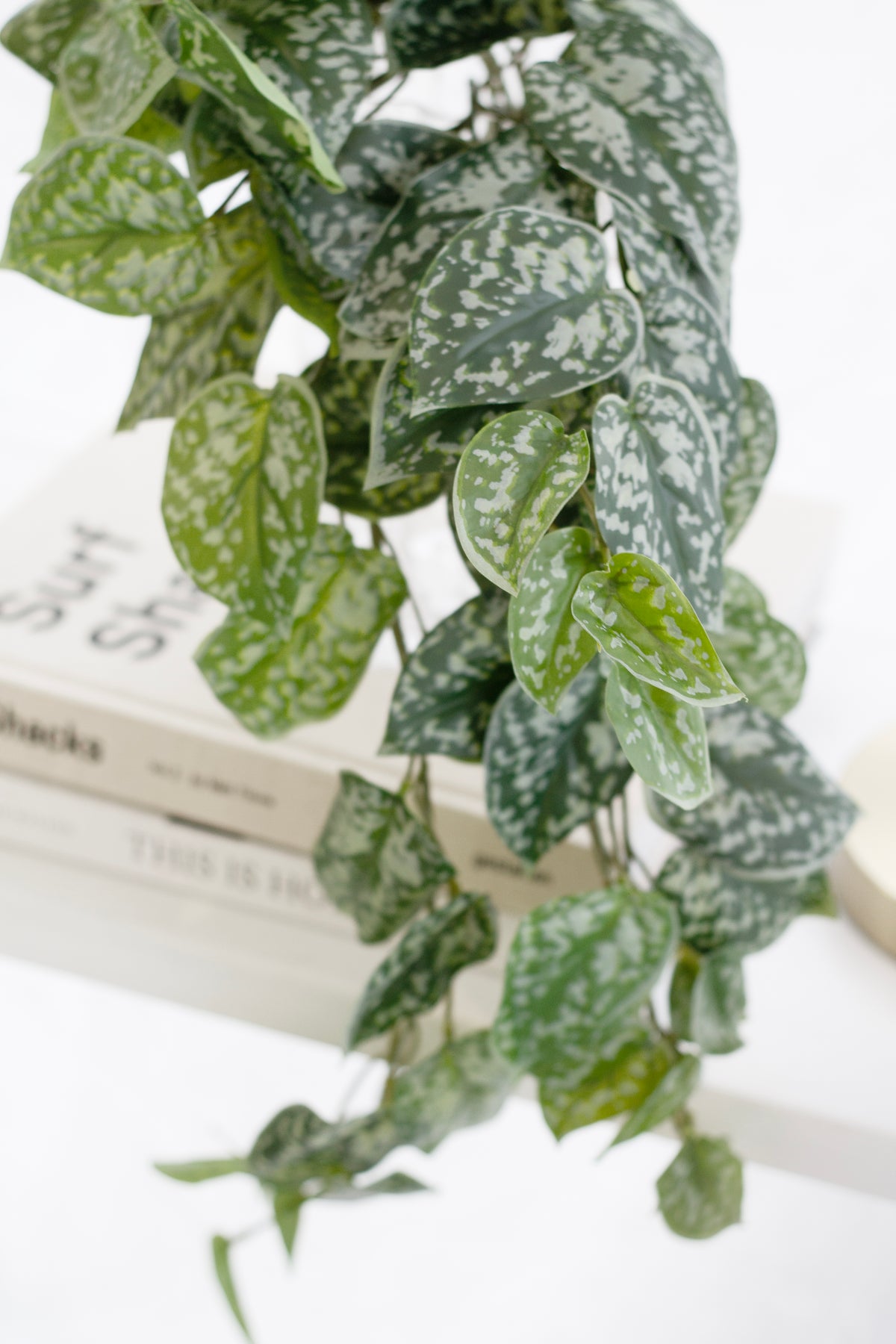 Close view of faux satin pothos leaves trailing over a stack of books
