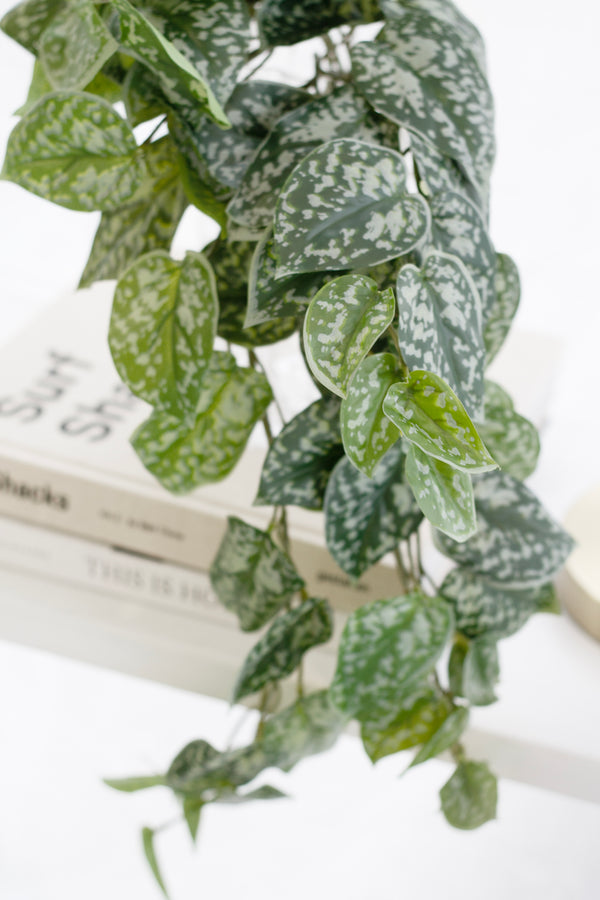 Scindapsus Faux Plant – 63cm Real-Touch Trailing Bush