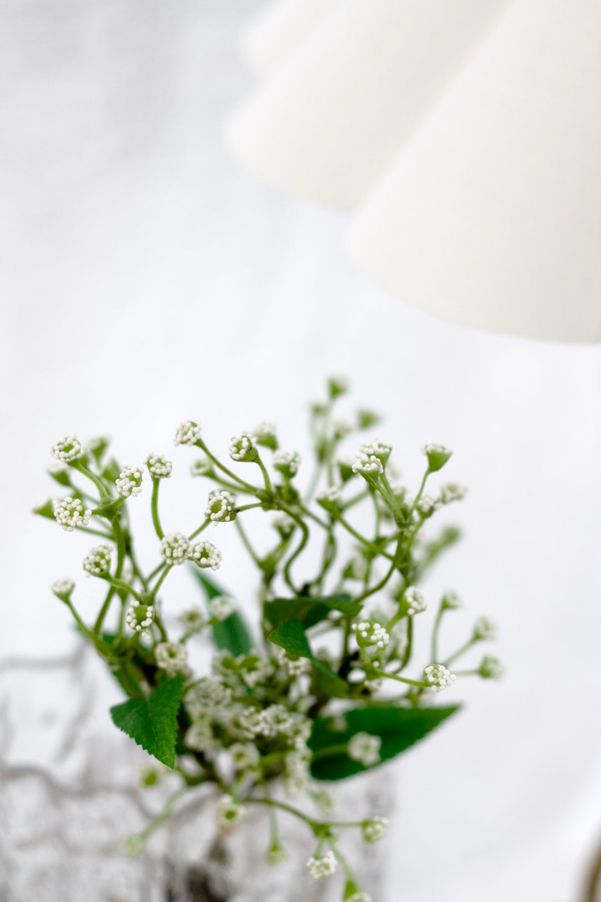 Faux baby's breath in a clear glass beside a pleated lamp