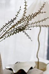 Mini Eucalyptus Pulverulenta | 81cm Faux Eucalyptus Stem with Soft Grey-Green Leaves