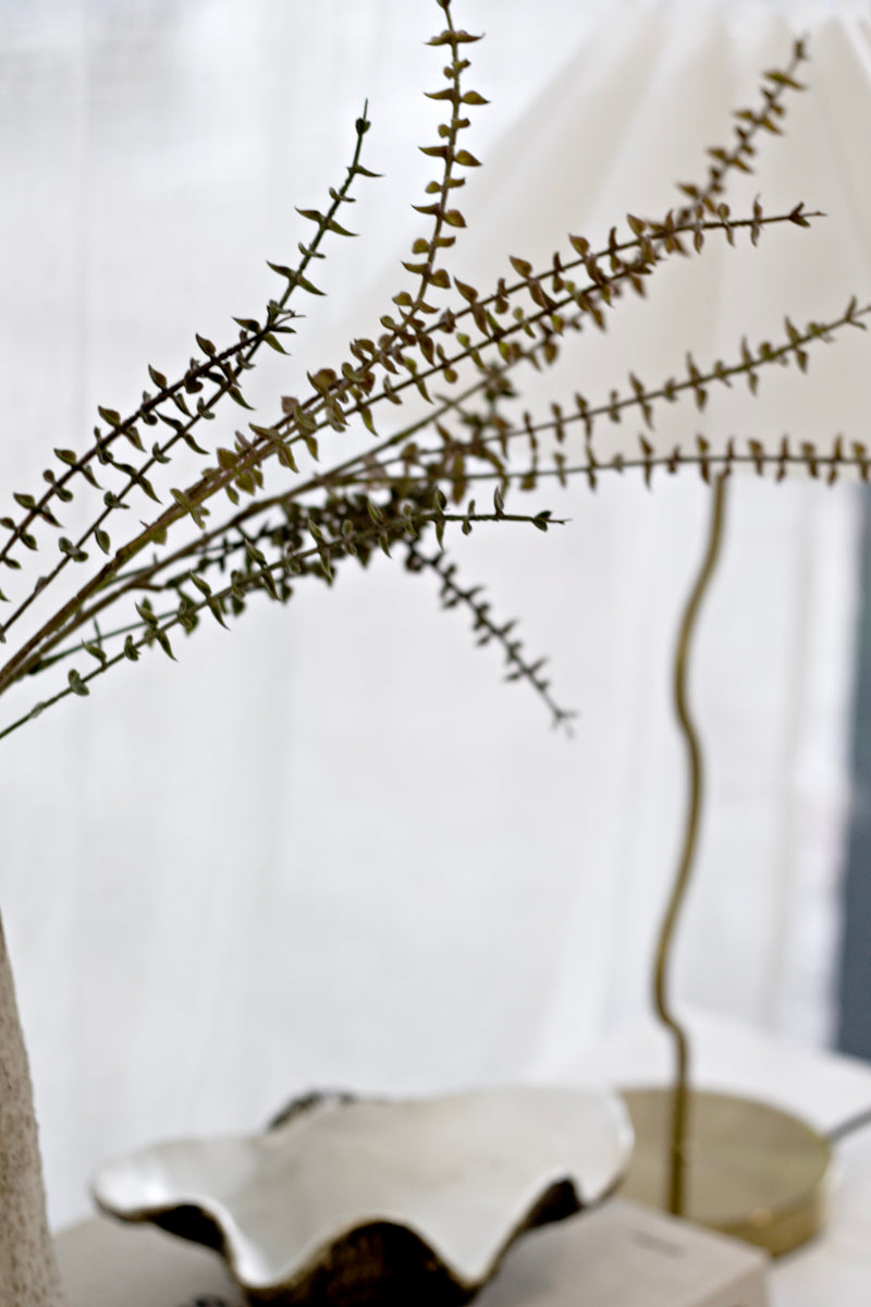 Mini Eucalyptus Pulverulenta | 81cm Faux Eucalyptus Stem with Soft Grey-Green Leaves