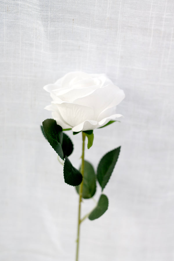 White Tea Rose 50cm – White Artificial Flower Stem