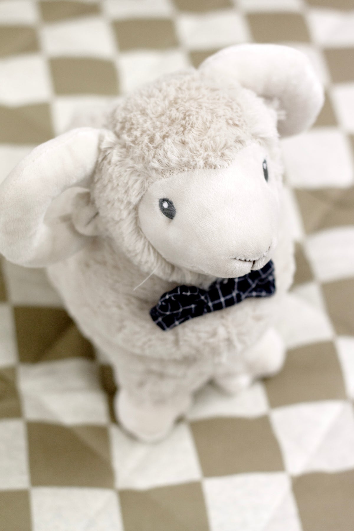 Close view of Liam the Ram on a checked quilt