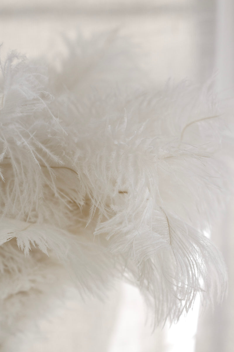 Ostrich Feather Duster 44cm – White Plume, Beech Handle, Black Cuff