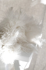 Ostrich Feather Duster 44cm – White Plume, Beech Handle, Black Cuff