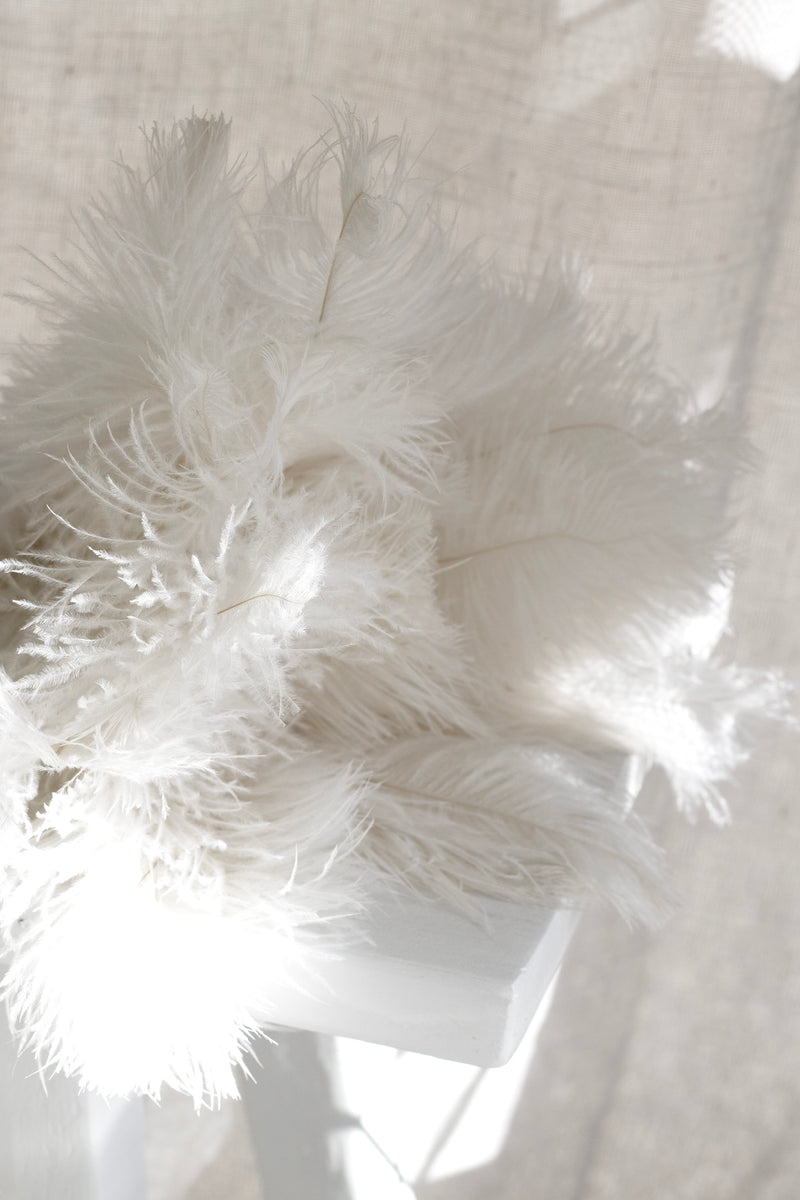 Ostrich Feather Duster 44cm – White Plume, Beech Handle, Black Cuff