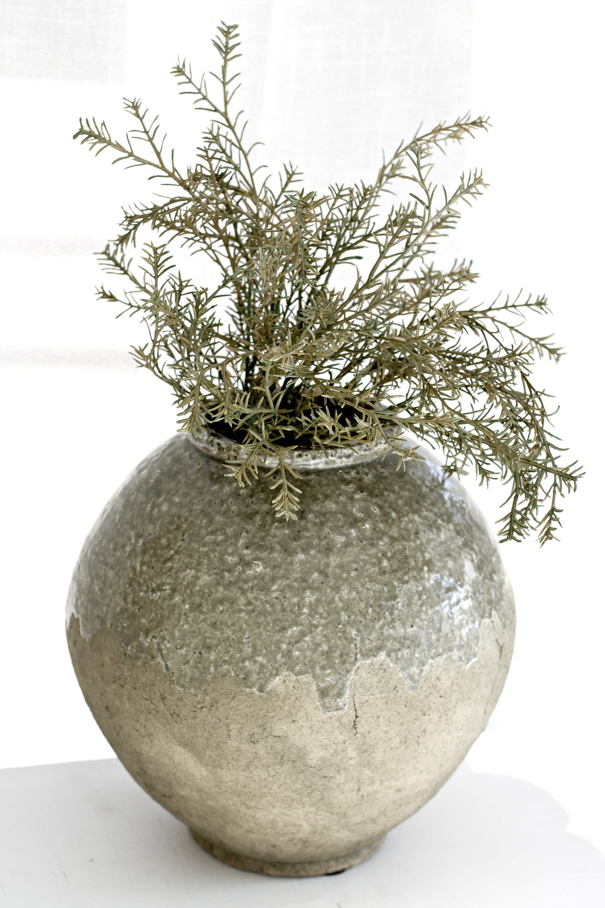 Rosemary in a round crackle glazed vase in sage and cream, on a pale surface