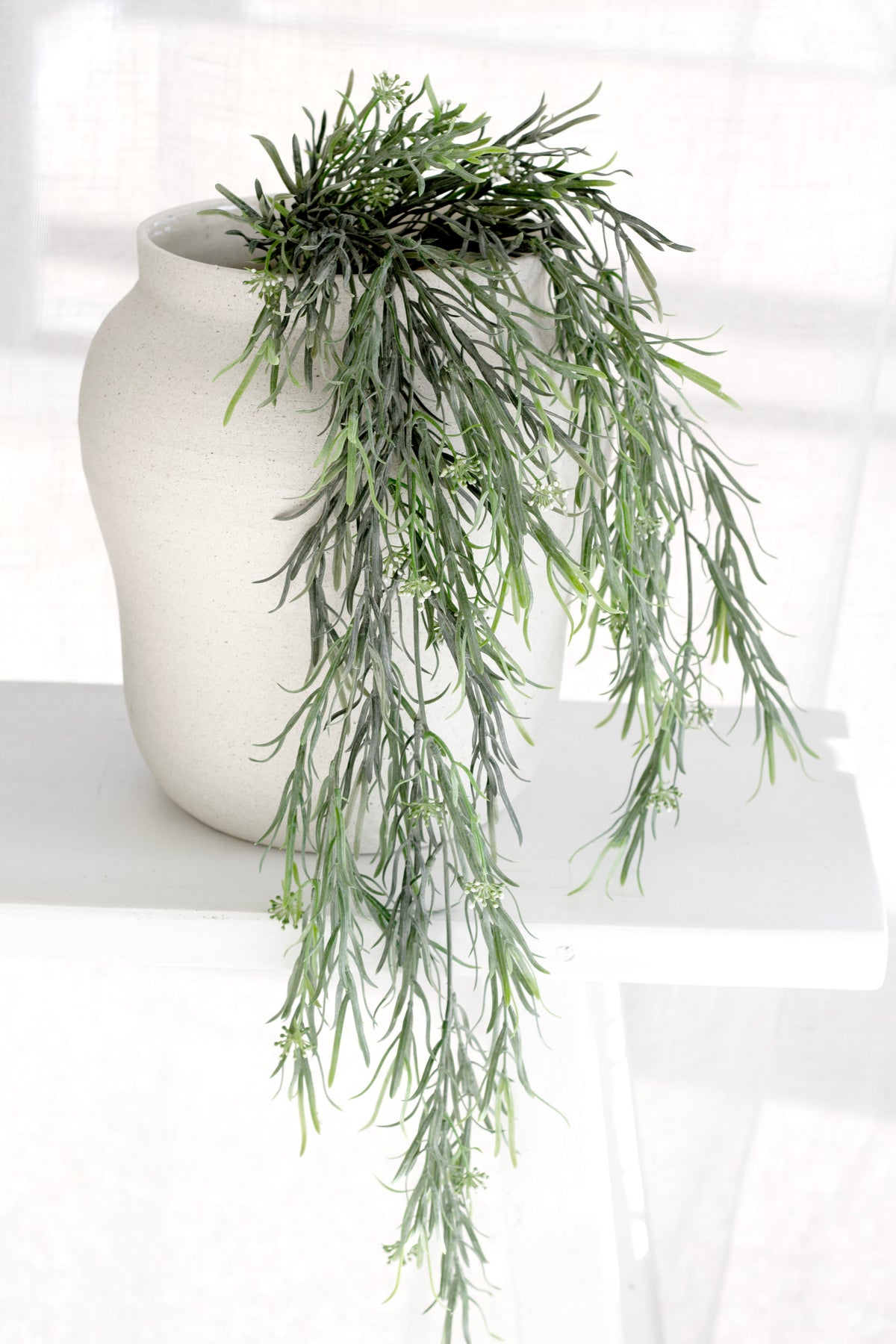 Sandface bellied pot planted with a trailing green fern on a white ledge by a window