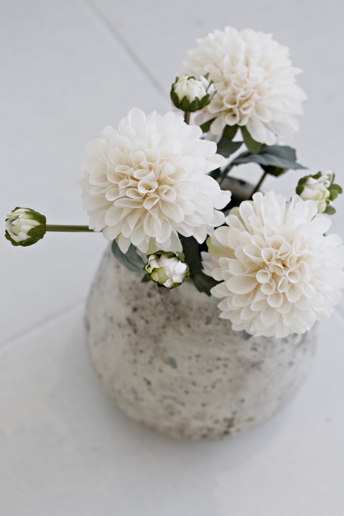 Aged cream dahlias with buds in a speckled stone vase, seen from directly above