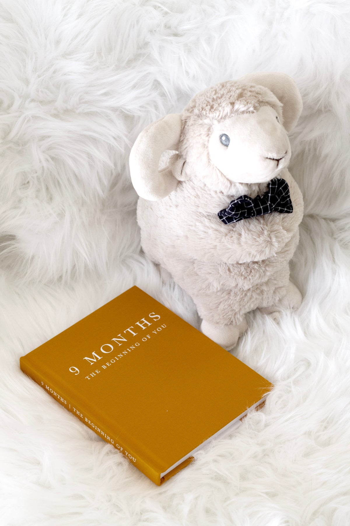Write To Me 9 Months pregnancy journal styled as a pregnancy keepsake and baby shower gift
