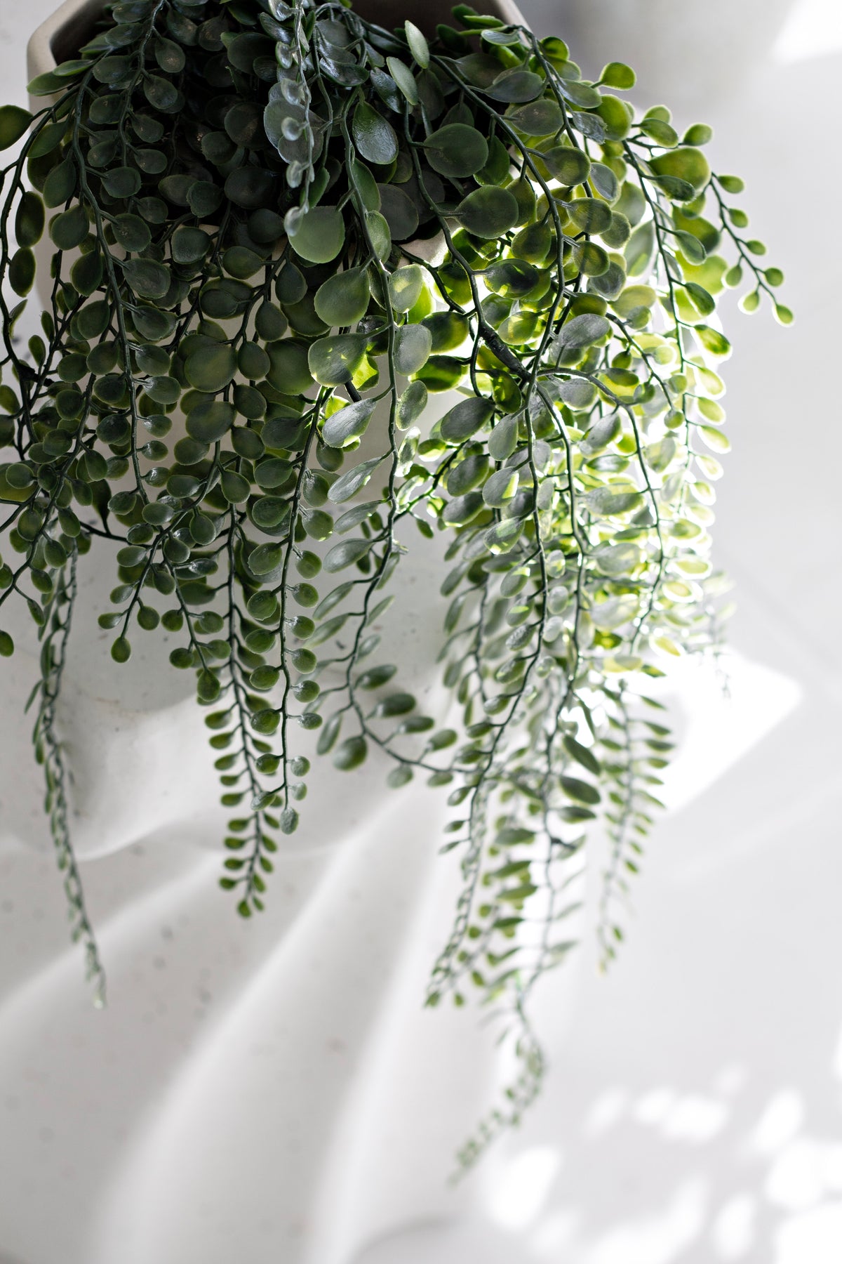 Close view of cascading faux stems with small round leaves