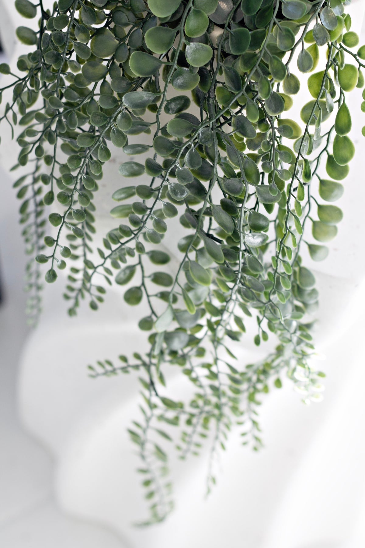 Trailing strands of small round faux leaves in soft window light