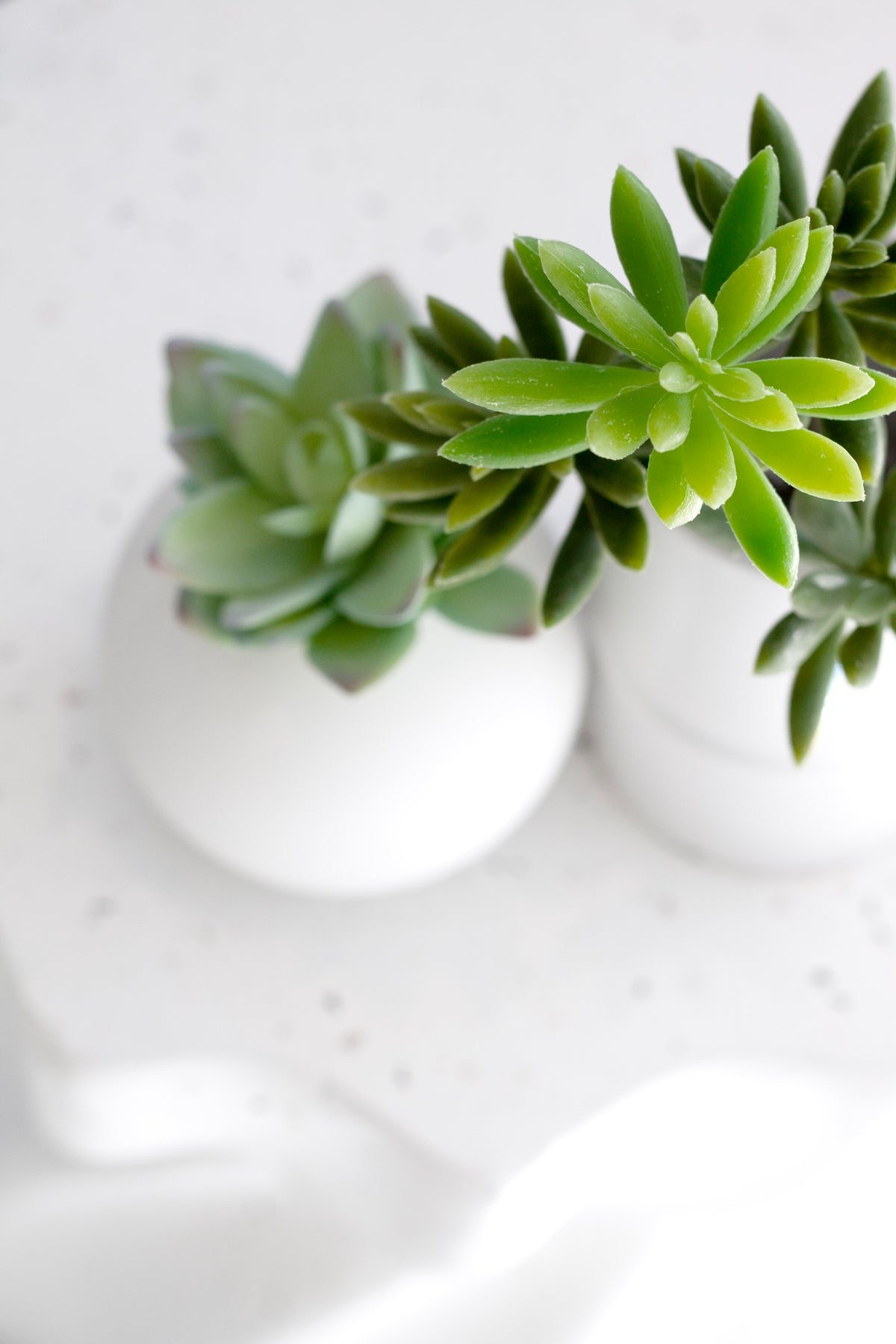 Echeveria Pick, Green 28cm Lifelike Faux Succulent