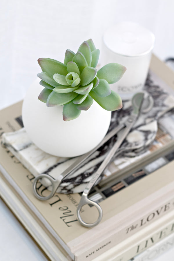 Lotus Succulent Green/Grey Tips 13cm