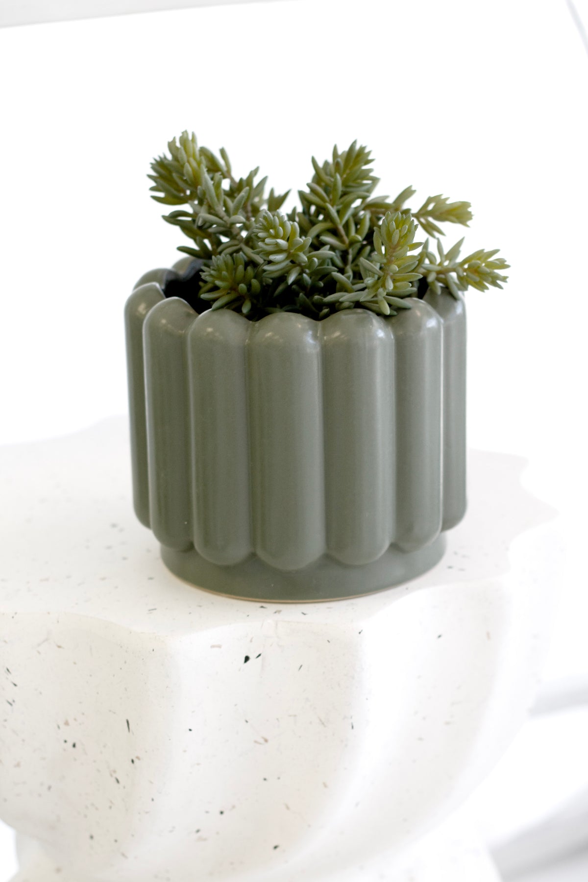 Angelina Succulent, 22cm Potted Faux Plant