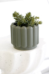 Angelina Succulent in Grey Pot | 22cm Realistic Artificial Plant