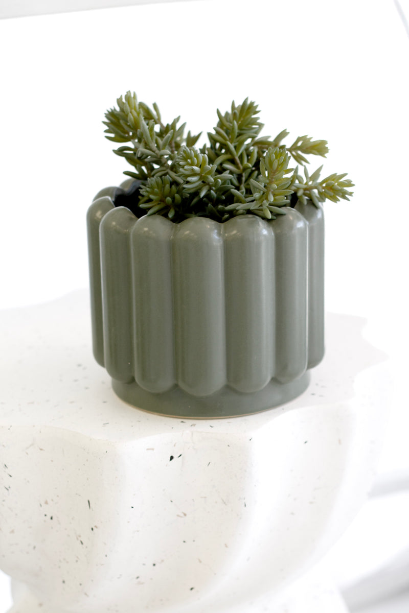 Angelina Succulent in Grey Pot | 22cm Realistic Artificial Plant