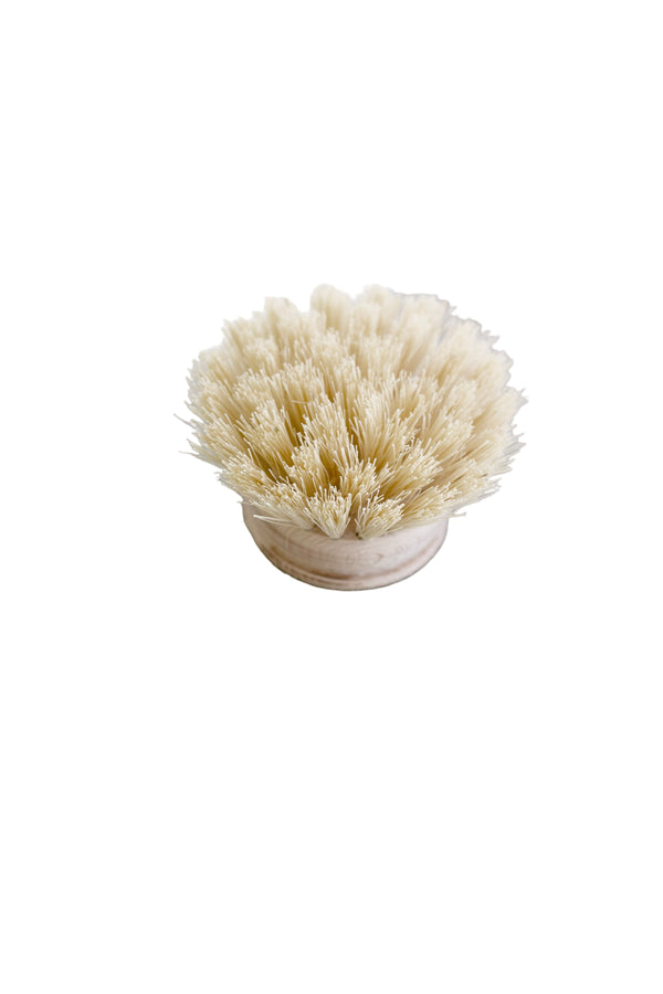 Replacement Dish Brush Head – Natural Tampico Fibre Refill