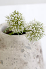 Mini Allium Stem – Cream Faux Flower, 46cm