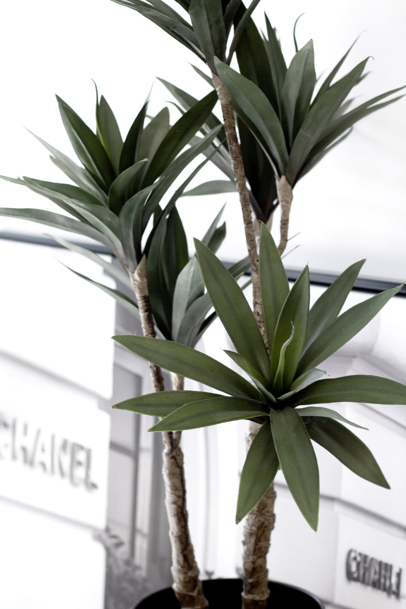 Dracaena Potted Artificial Plant 91cm with 6 Heads