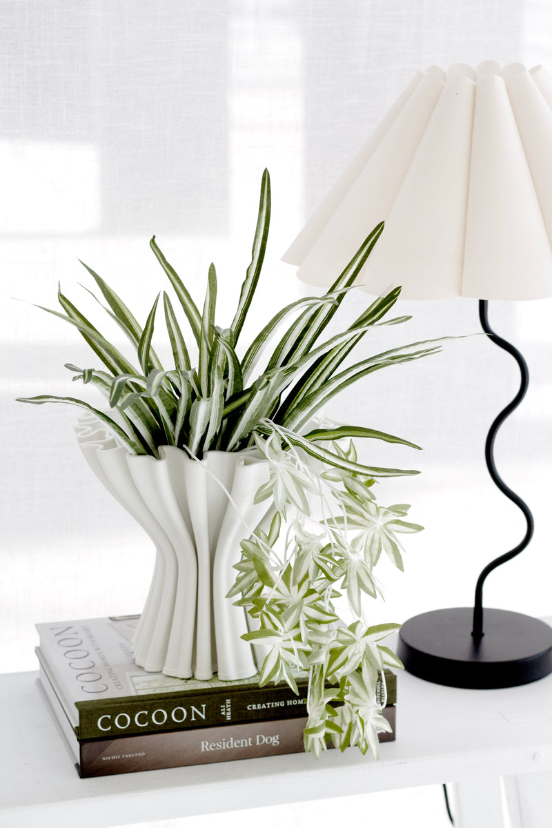Cocoon: Creating Homes with Heart