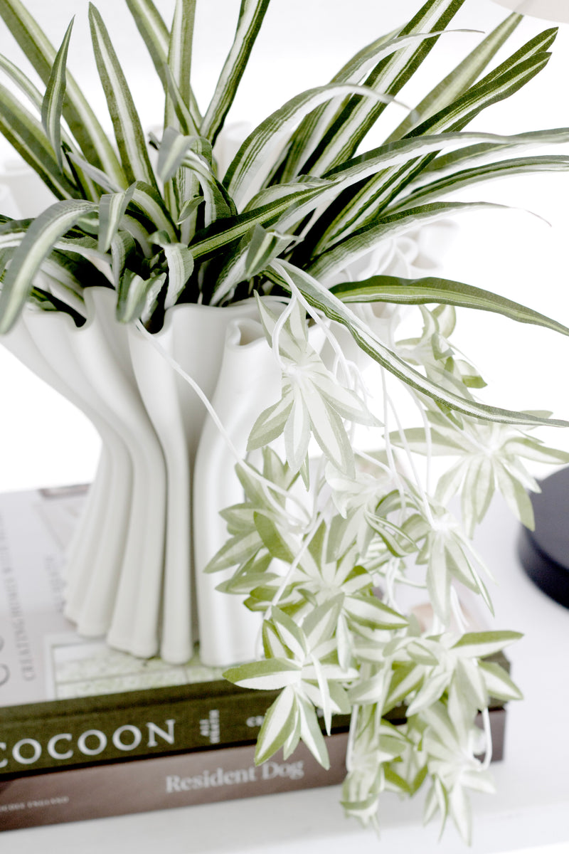 Cocoon: Creating Homes with Heart