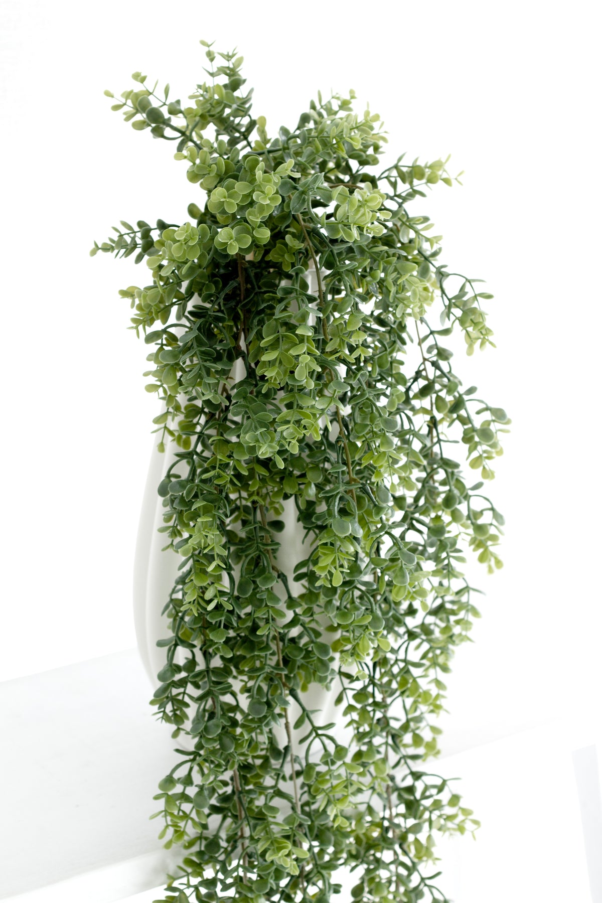 Eucalyptus spilling from a white vessel over the edge of a white ledge