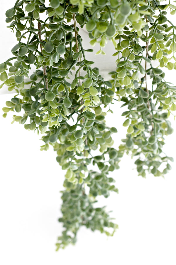 Eucalyptus Hanging Bush – 1m Trailing Faux Greenery