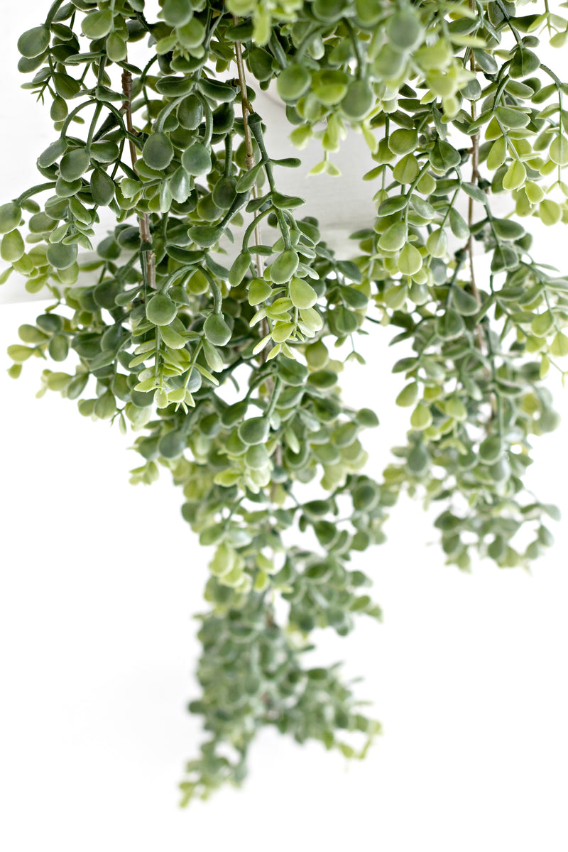 Eucalyptus Hanging Bush – 1m Trailing Faux Greenery