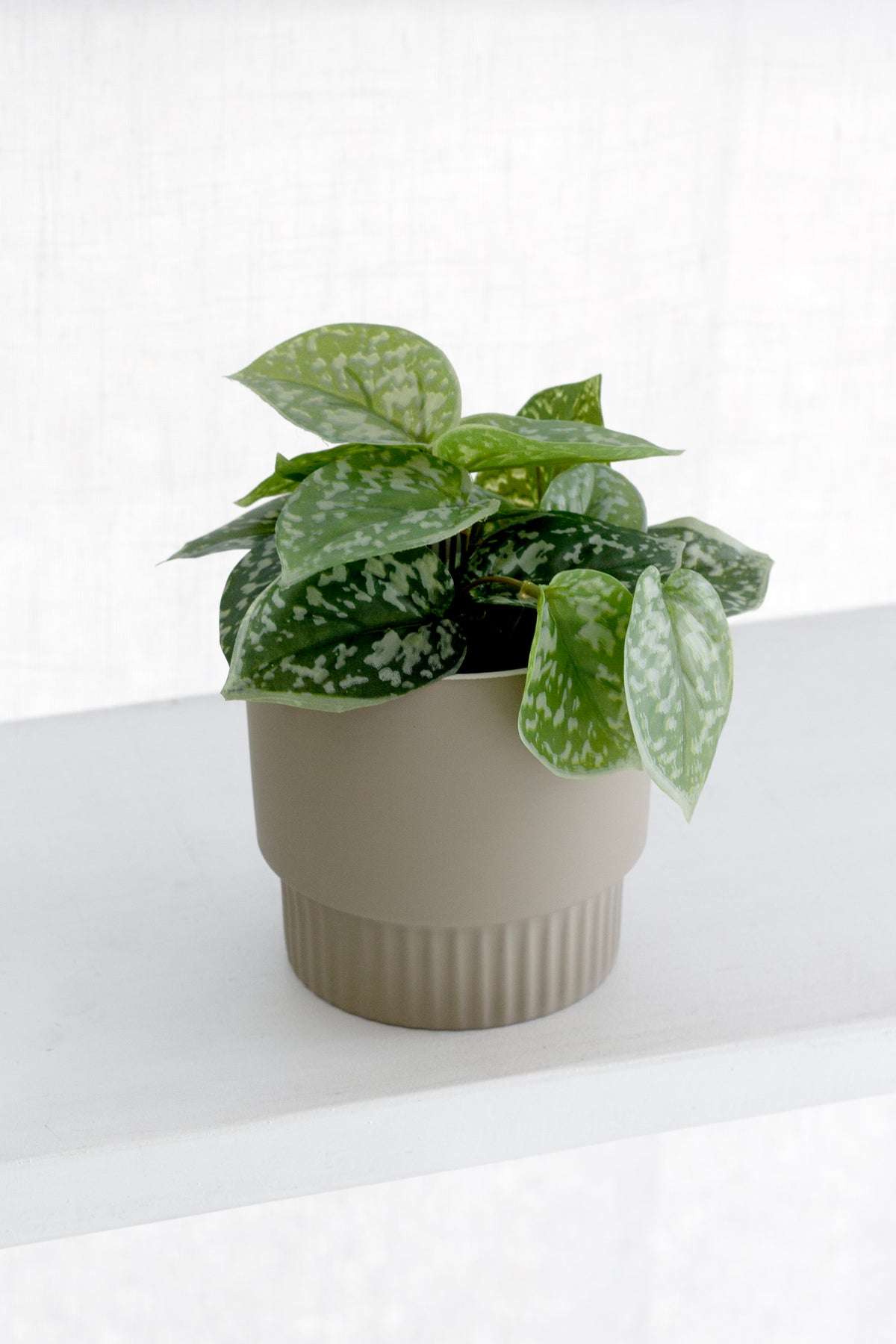 Edgar Ceramic Planter with Fluted Base – Taupe