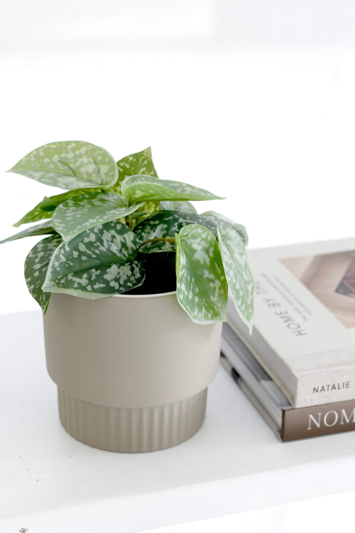 Edgar Ceramic Planter with Fluted Base – Taupe