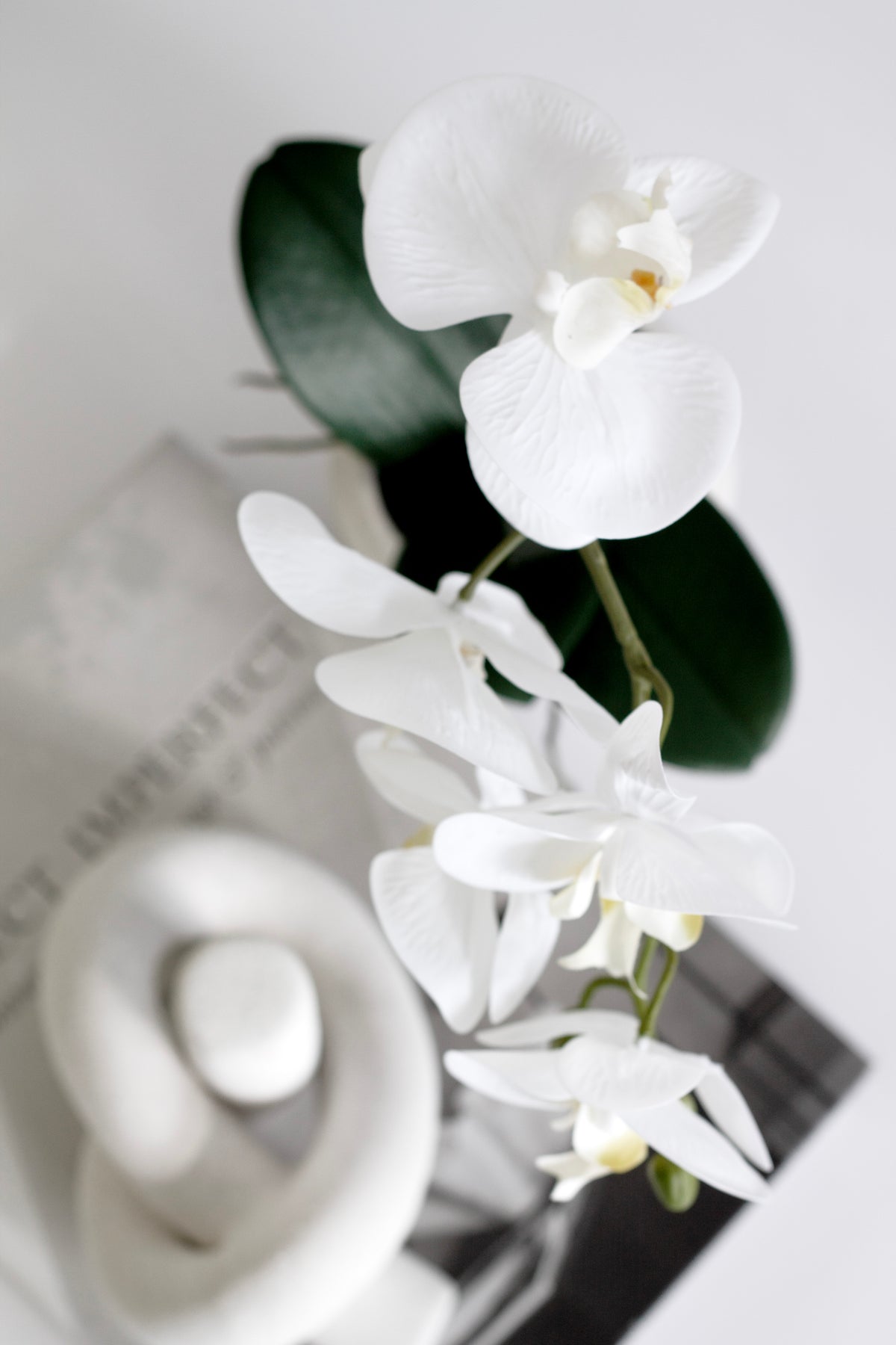Phalaenopsis Orchid in Ceramic Pot, White 46cm / 58cm Faux Plant
