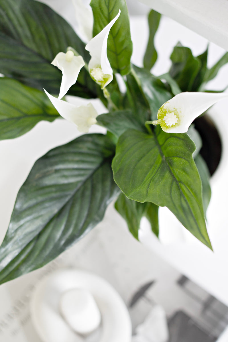 Artificial Potted Peace Lily – 48cm White Flowering Plant