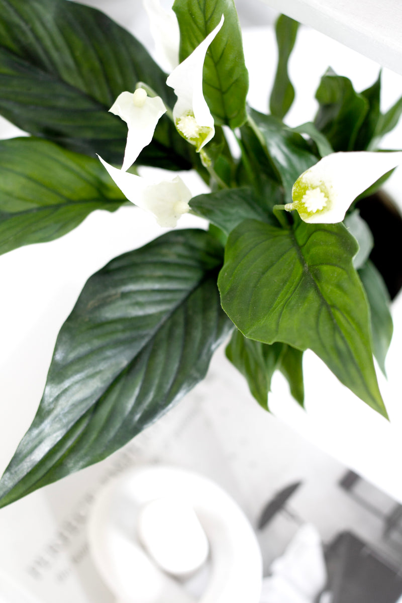Artificial Potted Peace Lily – 48cm White Flowering Plant