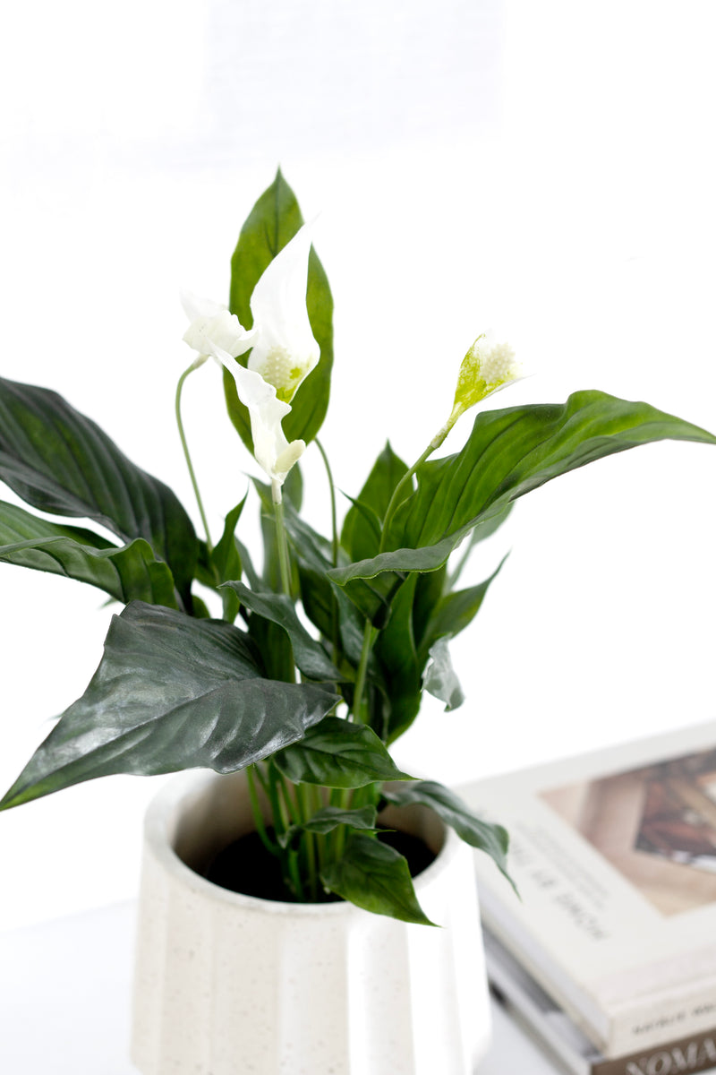 Artificial Potted Peace Lily – 48cm White Flowering Plant