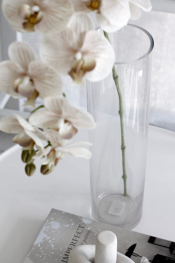 Glass Cylinder Vase – Clear Glass in 4 Versatile Sizes