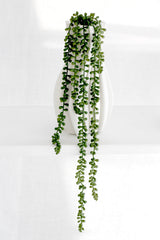 String of Beads Faux Succulent – 73cm Hanging Spray