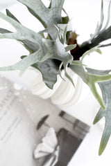 Staghorn Fern Stem – 53cm Artificial Botanical Foliage