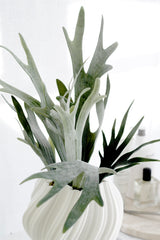 Staghorn Fern Stem – 53cm Artificial Botanical Foliage