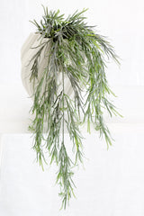 Hanging Sicklethorn Fern – 76cm Real Touch Faux Greenery