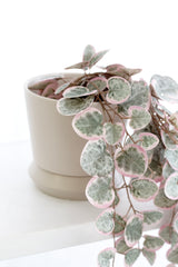 Hamburg Planter – Sage, Peach & Parchment Ceramic Pots (2 Sizes)