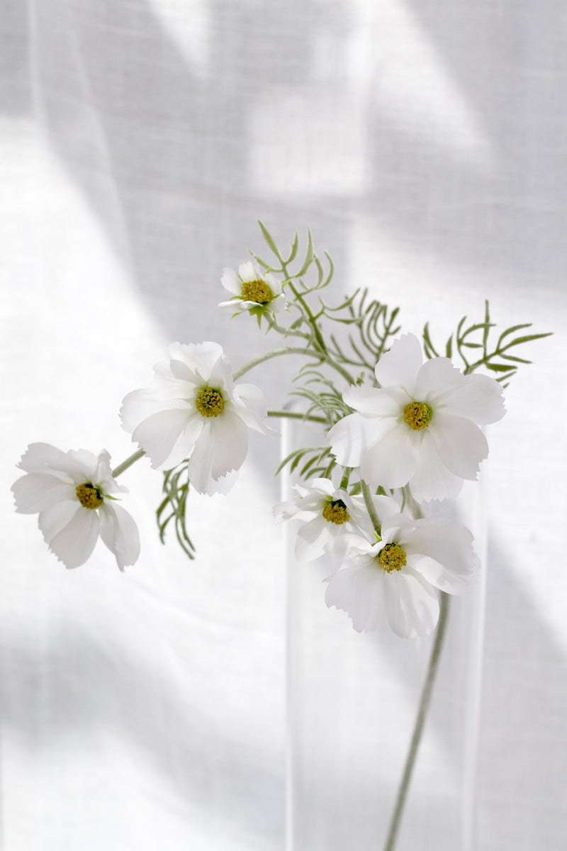 Faux Cosmos Spray – White (Also Available in Pink) | 51cm Stem