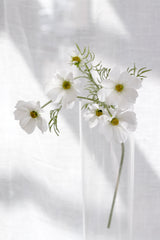 Faux Cosmos Spray – White (Also Available in Pink) | 51cm Stem