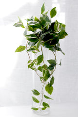 Pothos Variegated Hanging Bush 40cm – Artificial Greenery