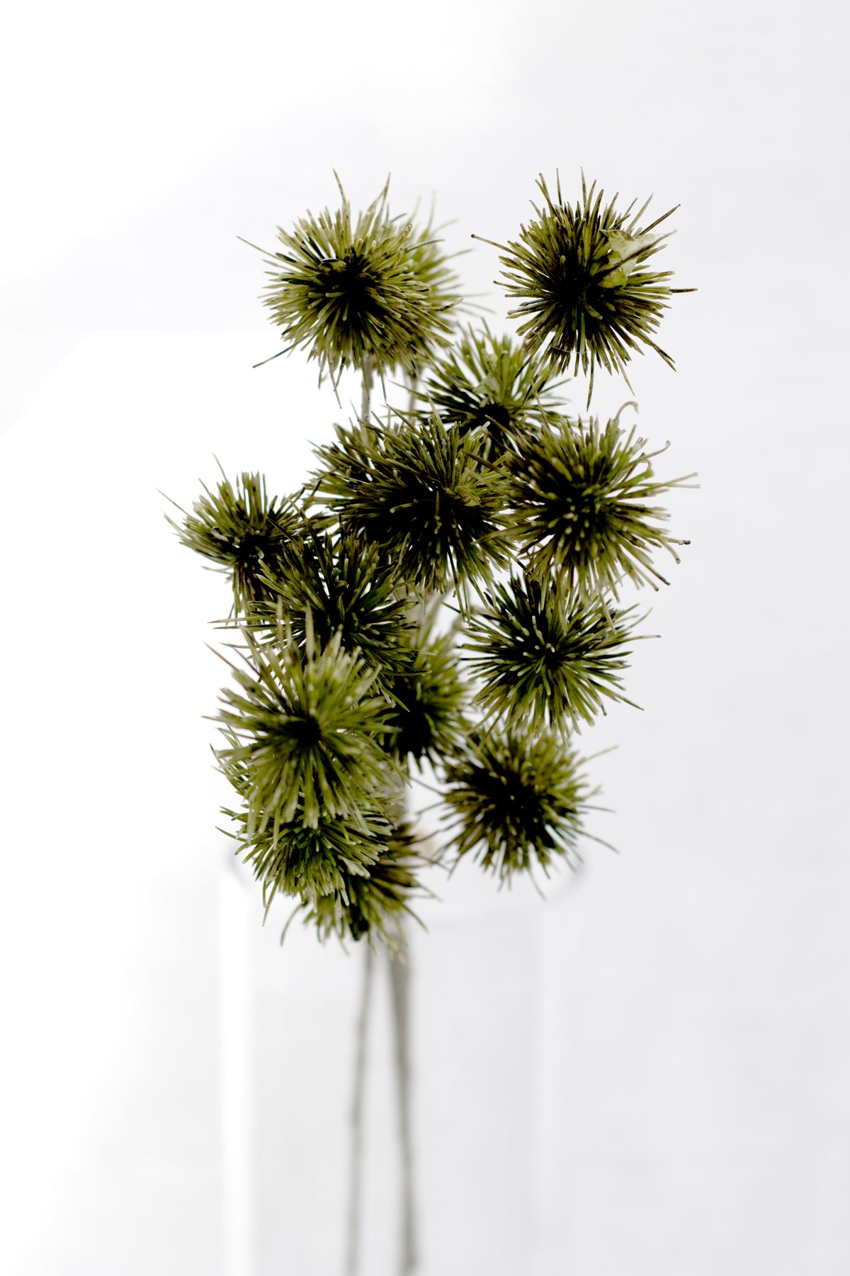 Sweet Chestnut Pod Bundle, Green 57cm Faux Stems