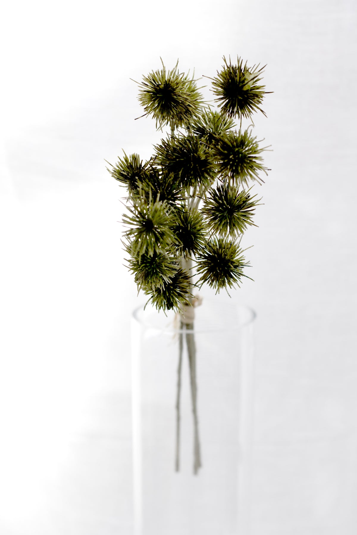 Sweet Chestnut Pod Bundle, Green 57cm Faux Stems