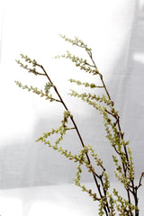 Stachyurus Branch 1.3m – Tall Artificial Greenery Stem